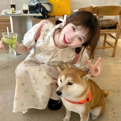 简单易懂魔法科！